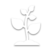 Icono planta creciendo